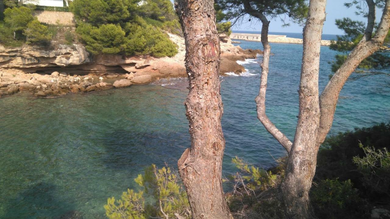 Mi Morena Cala Llobeta 35 L'Ametlla de Mar Exterior foto
